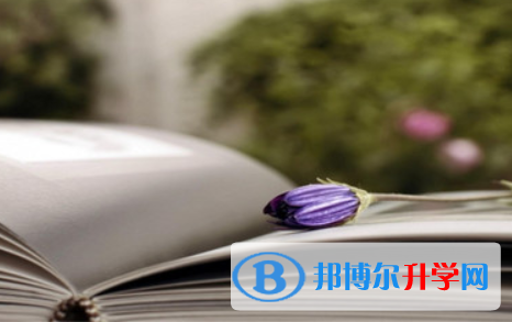 保定2021年中考怎么填志愿才可以上到好的學校