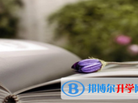 保定2021年中考怎么填志愿才可以上到好的學校