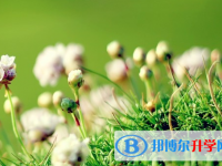 保定2021年中考查詢系統