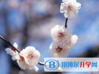 保定2021年中考體育考試成績(jī)查詢