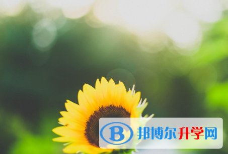 保定2021年中考網(wǎng)絡(luò)應(yīng)用服務(wù)平臺成績查詢