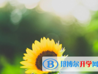 保定2021年中考網(wǎng)絡(luò)應(yīng)用服務(wù)平臺(tái)成績(jī)查詢