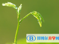 寶雞2021年中考志愿填報(bào)技巧