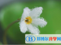 寶雞2021年中考志愿填報(bào)表
