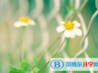 寶雞2021年中考志愿填報(bào)網(wǎng)址