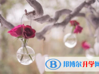 保定2021年各個(gè)學(xué)校中考錄取線