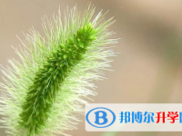 保定2021年近幾年中考重點(diǎn)線