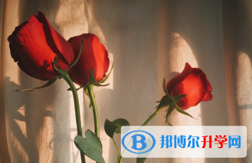 保定2021年近年中考重點線