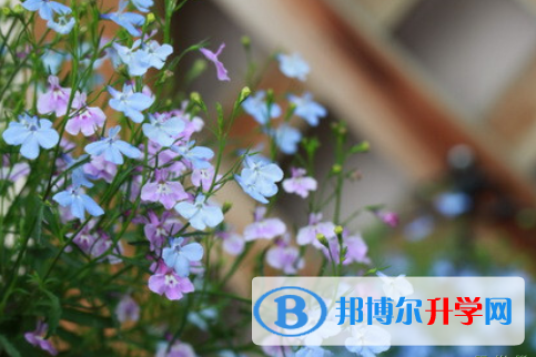 保定2021年考起重高的人數
