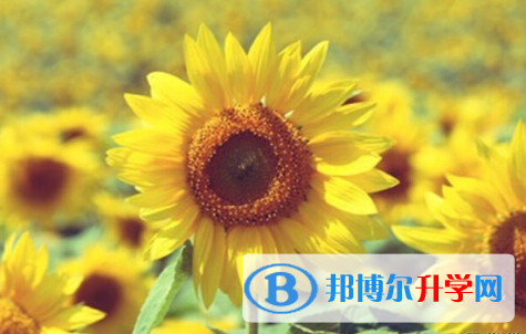 保定2021年歷年中考重點(diǎn)