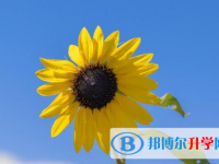 保定2021年中考報考人數(shù)
