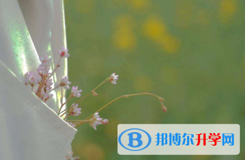 保定2021年中考報(bào)名號(hào)