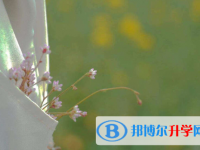 保定2021年中考報名號