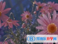 保定2021年中考報名網(wǎng)站