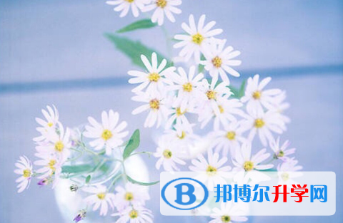 保定2021年中考報志愿時間