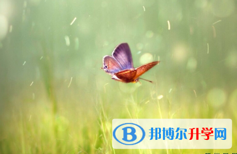 保定2021年中考查詢網(wǎng)址