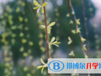保定2021年中考查詢系統的密碼記不到了怎么辦