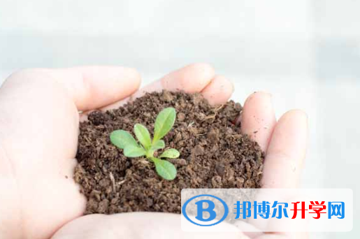 保定2021年中考成績重點線