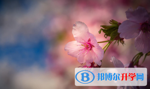 保定2021年中考考點有哪幾個