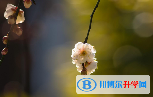 保定2021年中考錄取報名網