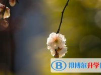 保定2021年中考錄取報名網(wǎng)