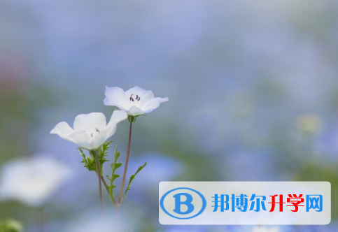 保定2021年中考錄取查詢?nèi)肟? width=