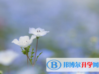 保定2021年中考錄取查詢入口