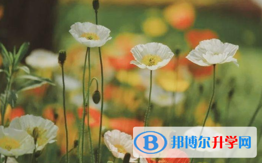保定2021年中考錄取規劃線