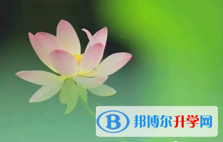 保定2021年中考錄取結(jié)果查詢(xún)