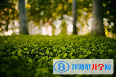 保定2021年中考填志愿統招和調劑