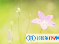 保定2021年中考調招