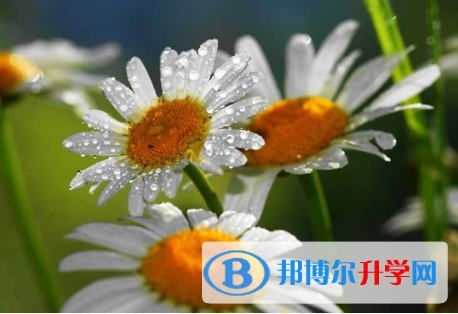 保定2021年中考聽力