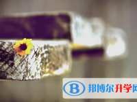 保定2021年中考統考成績