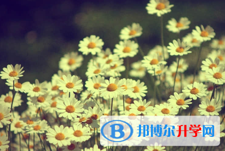 保定2021年中考網絡服務平臺