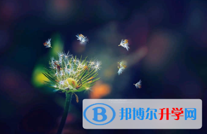 保定2021年中考網絡服務應用平臺
