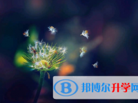 保定2021年中考網(wǎng)絡(luò)服務(wù)應(yīng)用平臺(tái)