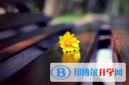保定2021年中考網絡平臺