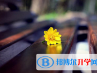 保定2021年中考網(wǎng)絡(luò)平臺(tái)