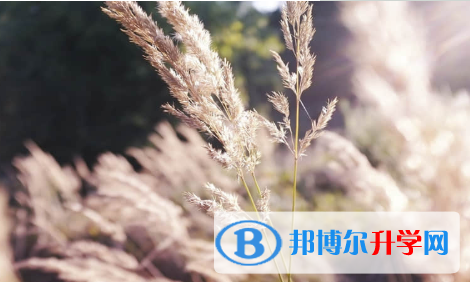 保定2021年中考網絡應用平臺