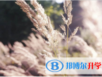 保定2021年中考網(wǎng)絡(luò)應(yīng)用平臺(tái)