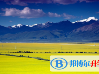 石家莊2021年中考網(wǎng)絡應用平臺