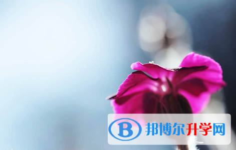保定2021年中考線預(yù)測