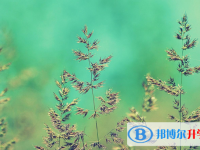石家莊2021年中考預(yù)估重點(diǎn)線