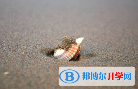 保定2021年中考藝體時間