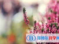 保定2021年中考預估重點線