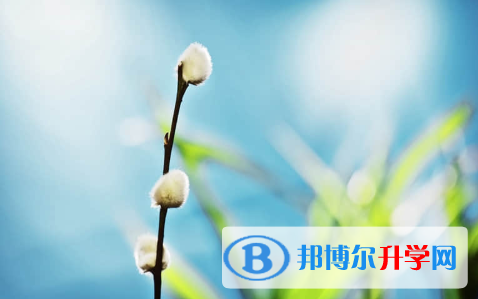 保定2021年中考怎樣調劑