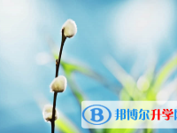 保定2021年中考怎樣調劑