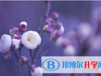 保定2021年中考招生考試查詢系統