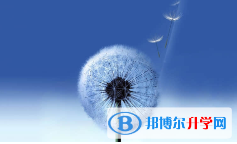 保定2021年中考招生網(wǎng)絡(luò)應(yīng)用服務(wù)平臺