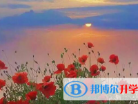 石家莊2021年中考招生網(wǎng)絡(luò)應(yīng)用服務(wù)平臺(tái)